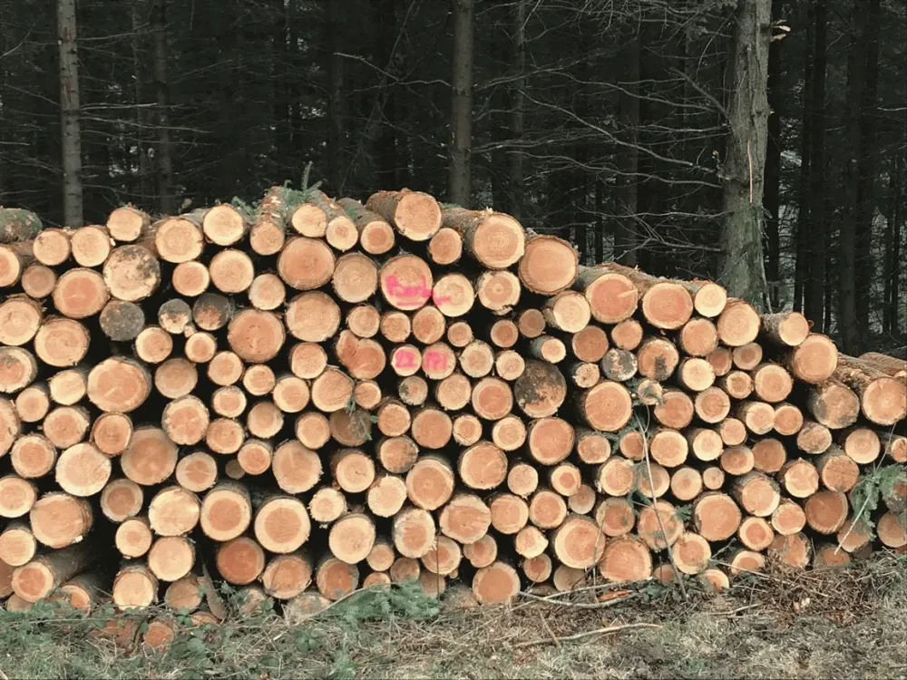 Achat et vente de bois en Livradois Forez