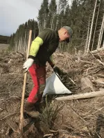 exploitation-forestiere