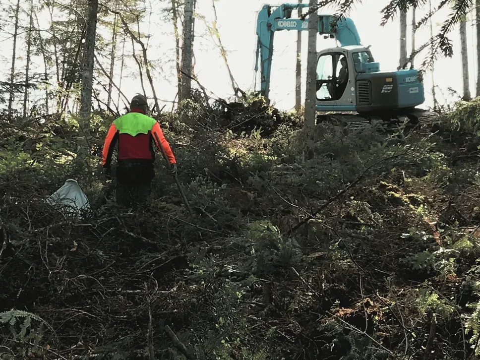 Comment bien préparer sa plantation ?