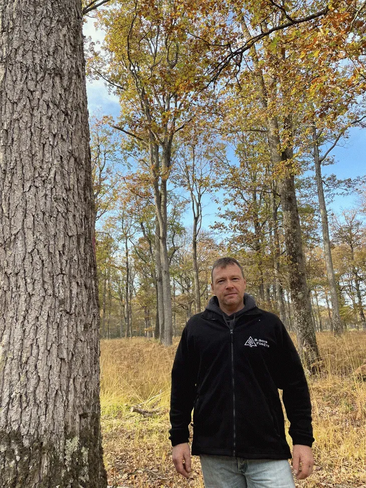 Engager dans la gestion durable des forêts