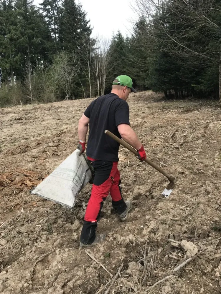 La replantation, c’est essentiel