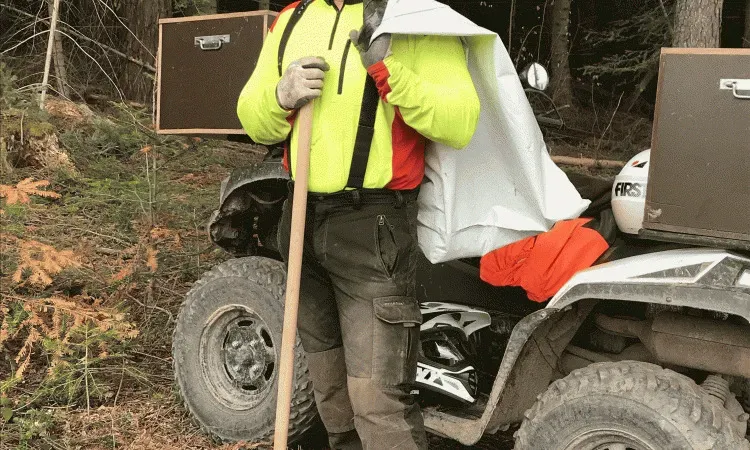 Regarnis en plants sur la commune d’Ambert