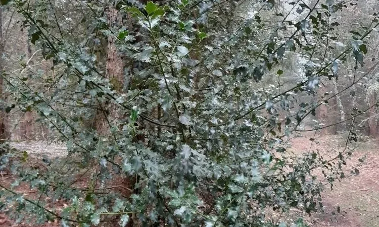 imgi_93_20220317_083400_r1 (2)