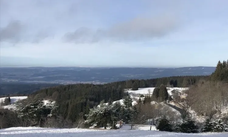 imgi_95_img_0576 (2)