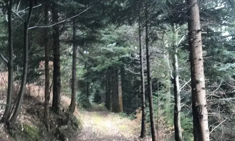 imgi_97_img_0638_r1 (2)