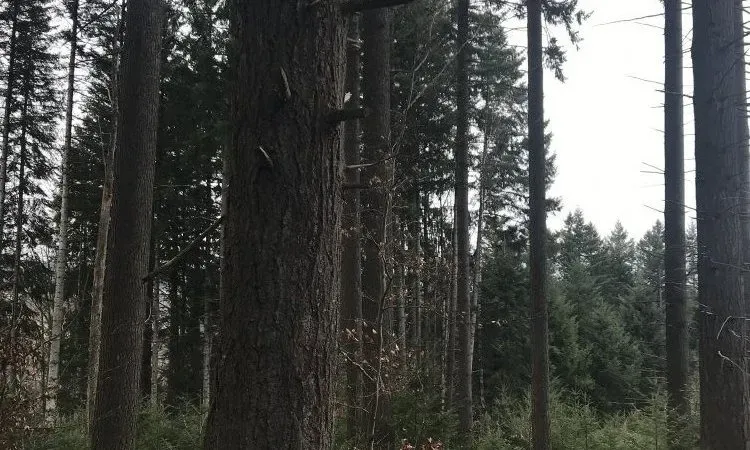 imgi_98_img_0634_r1 (2)