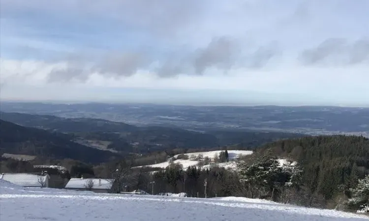 imgi_100_img_0575 (2)