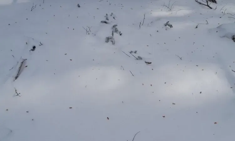 imgi_161_20230118_152231 (2)