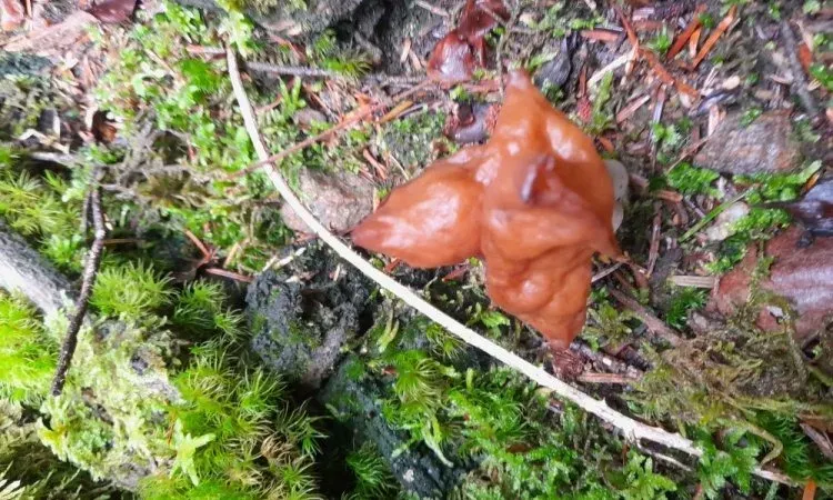 imgi_163_20221012_095806_0 (2)