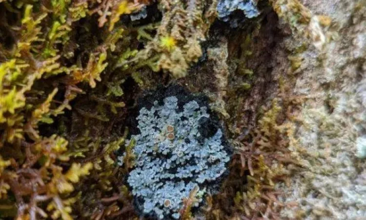 imgi_173_qbpk8582 (2)