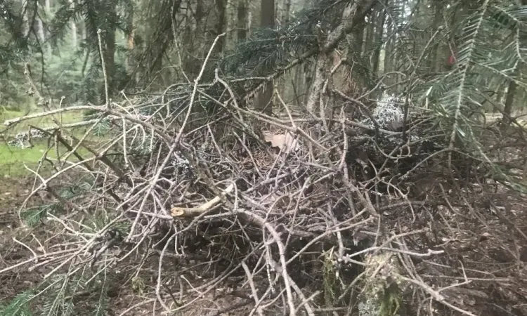 imgi_178_img_1971 (2)