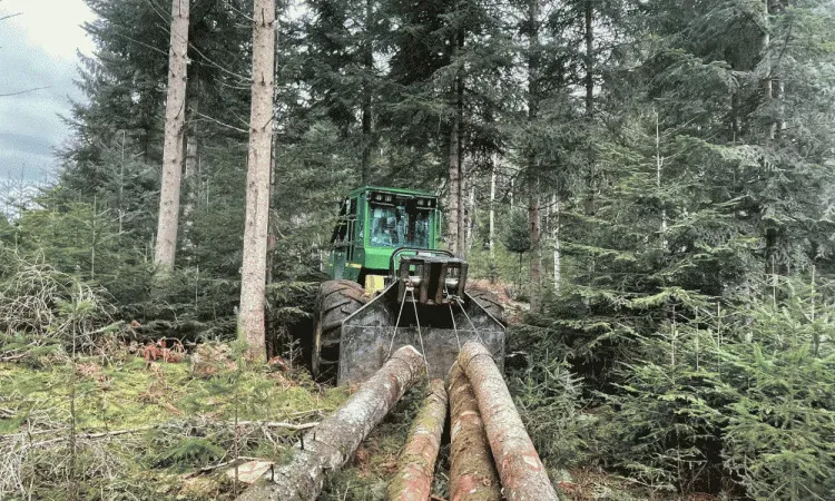 Suivi exploitation forestière à Bertignat