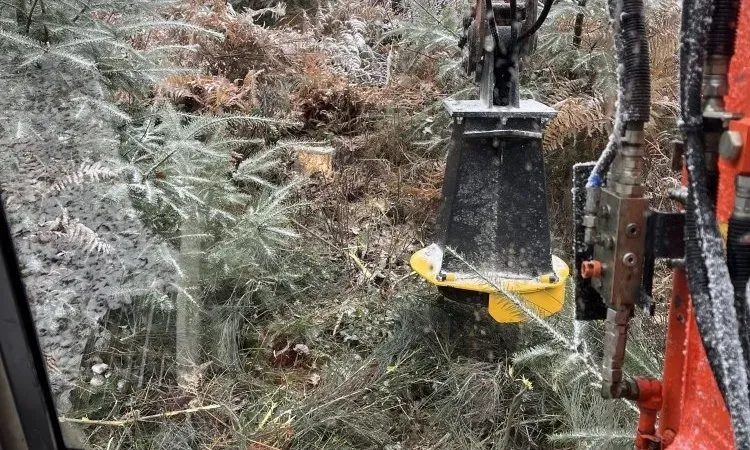 Nettoiement et dégagement de plantation sur la commune de Champètières