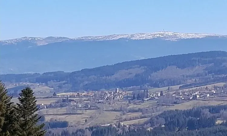 Engager dans la gestion durable