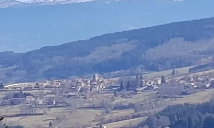 Estimation de parcelles forestières sur la commune d’Arlanc