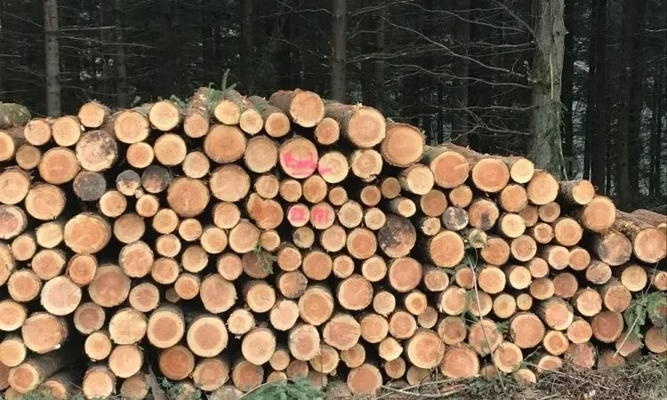 Comment vendre au mieux ses bois ?
