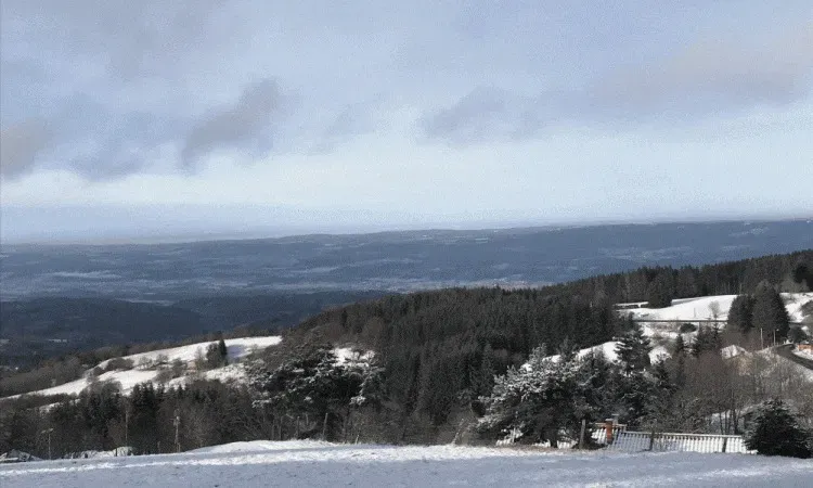 La gestion forestière en Livradois-Forez