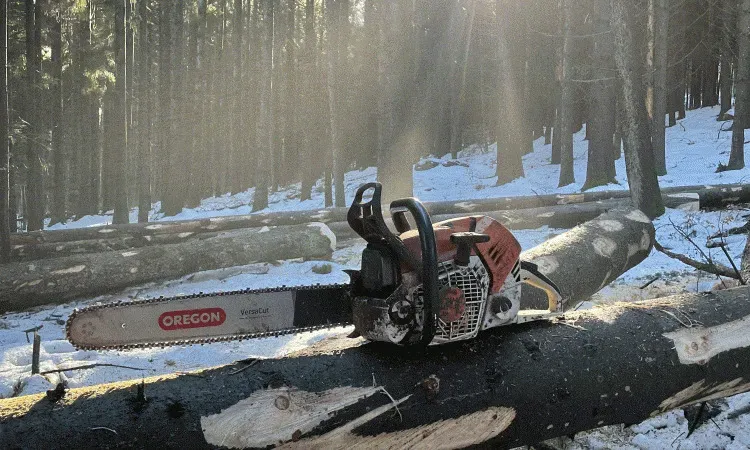 recolte de bois (134)