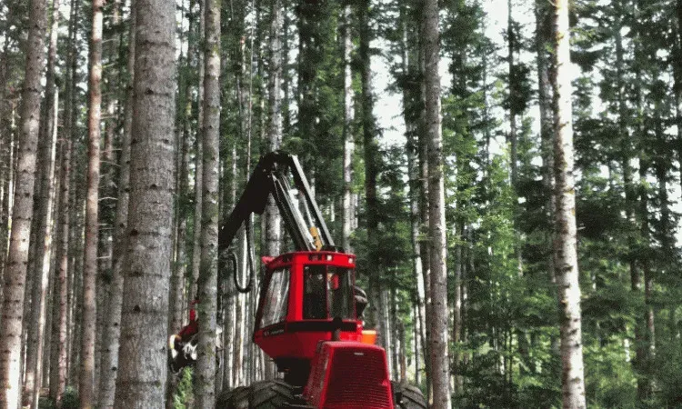 recolte de bois (139)