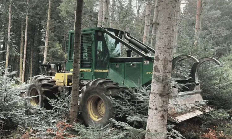 recolte de bois (144)