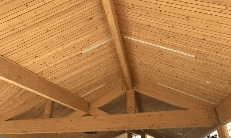 recolte de bois (221)