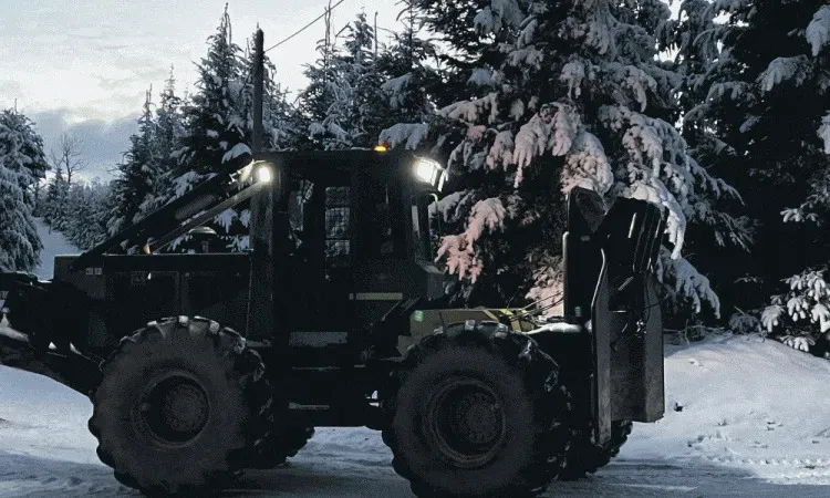 recolte de bois (224)