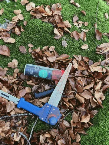 La transmission ou donation des parcelles de bois