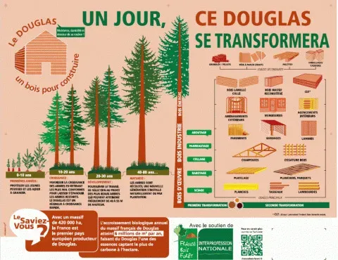 Récolte de bois sur la commune de Marat